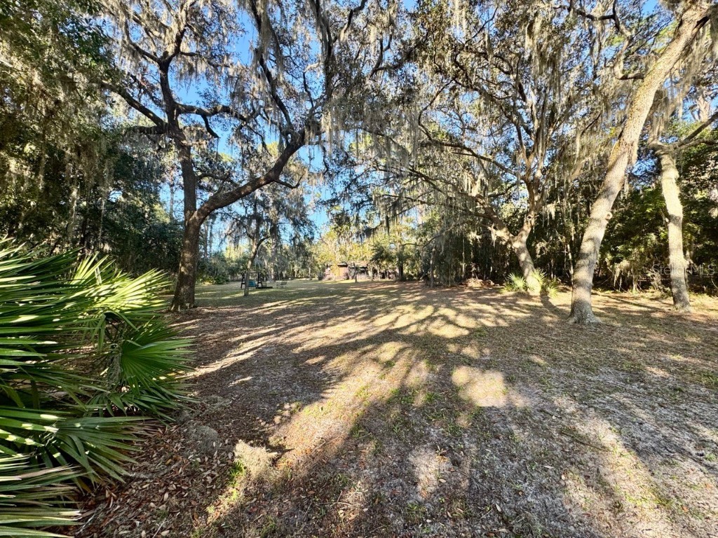 45202 Nfs Rd 572-B Altoona FL 32702 - LAKE DORR OM690062 image31