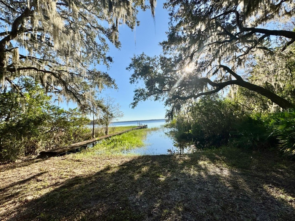 45202 Nfs Rd 572-B Altoona FL 32702 - LAKE DORR OM690062 image33