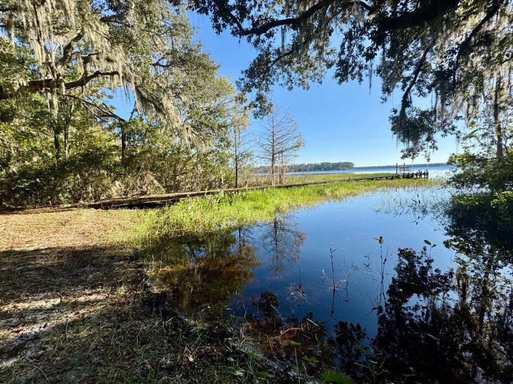 45202 Nfs Rd 572-B Altoona FL 32702 - LAKE DORR OM690062 image34