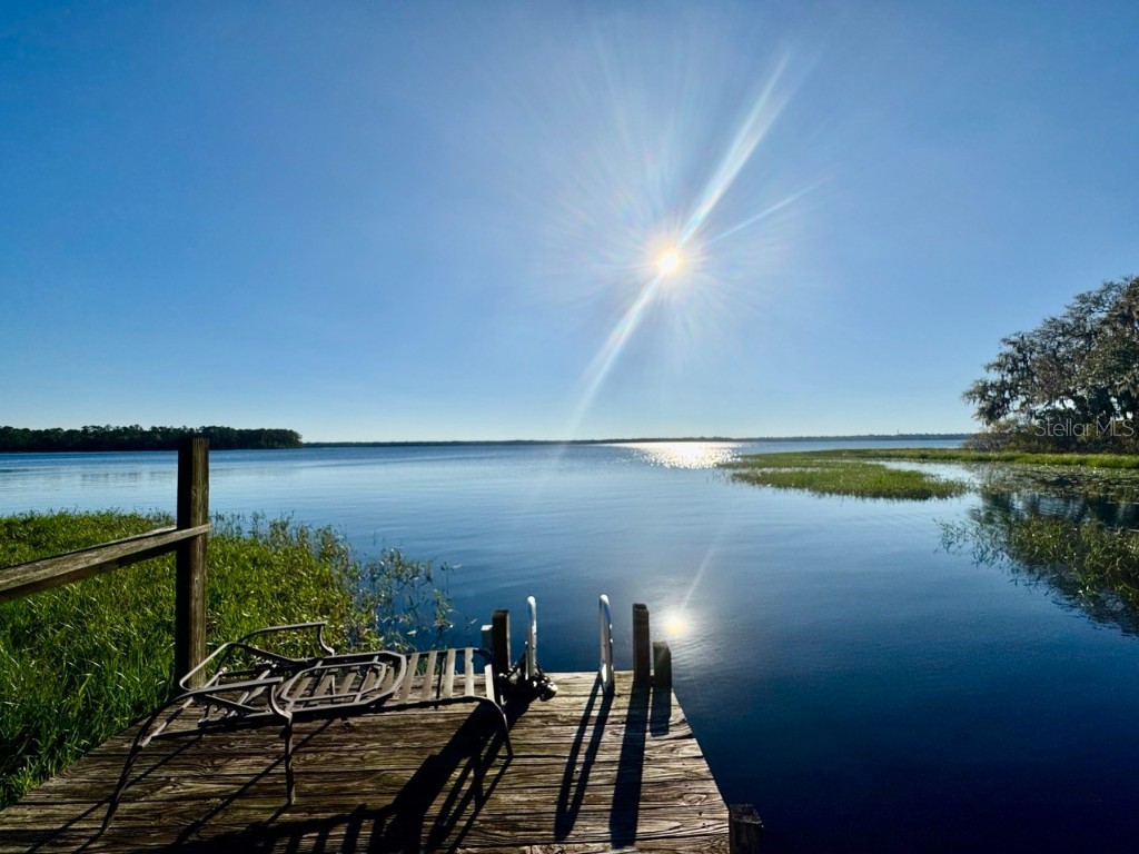 45202 Nfs Rd 572-B Altoona FL 32702 - LAKE DORR OM690062 image38