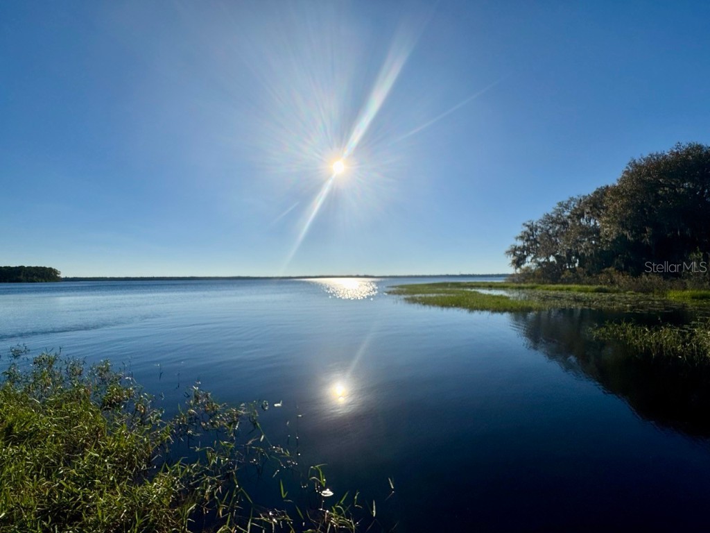 45202 Nfs Rd 572-B Altoona FL 32702 - LAKE DORR OM690062 image39