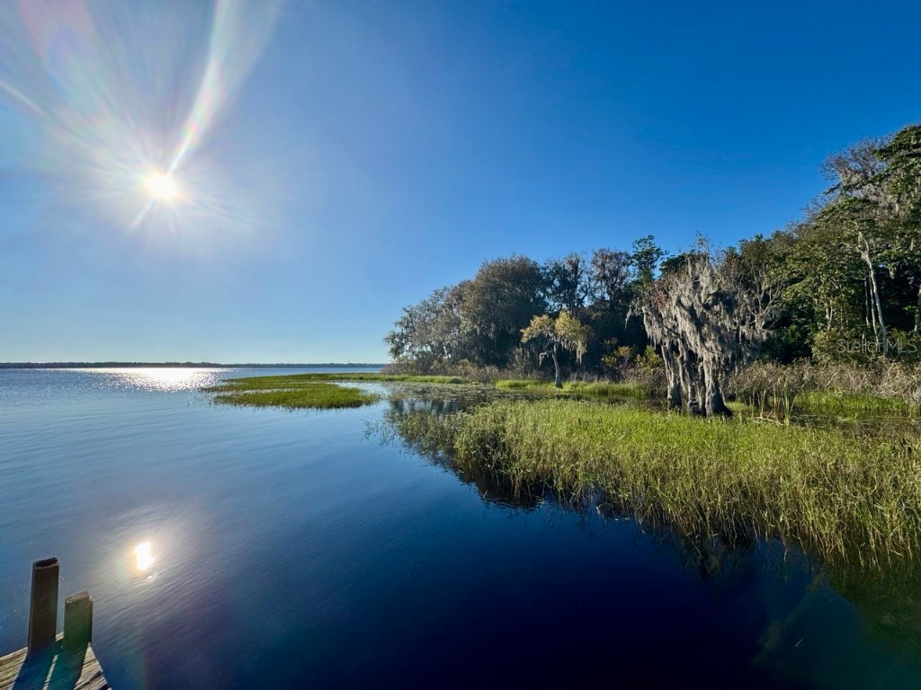 45202 Nfs Rd 572-B Altoona FL 32702 - LAKE DORR OM690062 image40