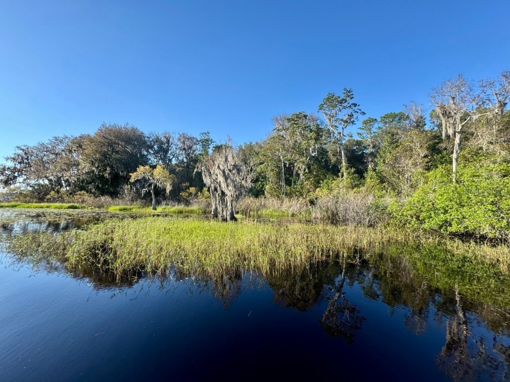 45202 Nfs Rd 572-B Altoona FL 32702 - LAKE DORR OM690062 image41