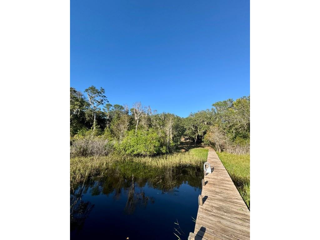 45202 Nfs Rd 572-B Altoona FL 32702 - LAKE DORR OM690062 image42