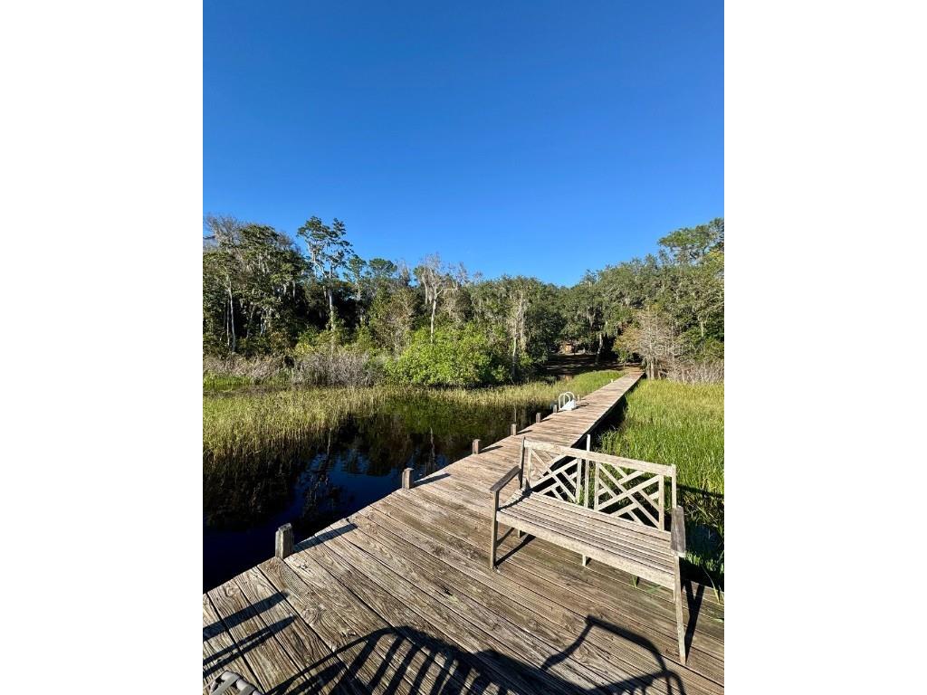 45202 Nfs Rd 572-B Altoona FL 32702 - LAKE DORR OM690062 image43