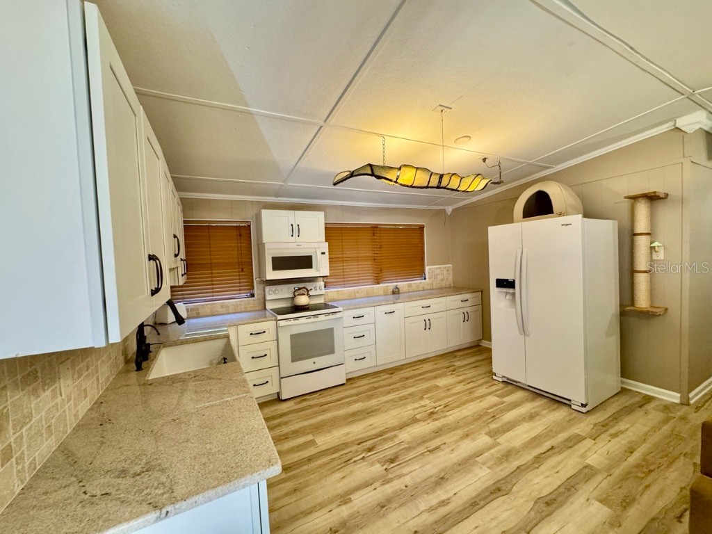 45202 Nfs Rd 572-B Altoona FL 32702 - LAKE DORR OM690062 image5