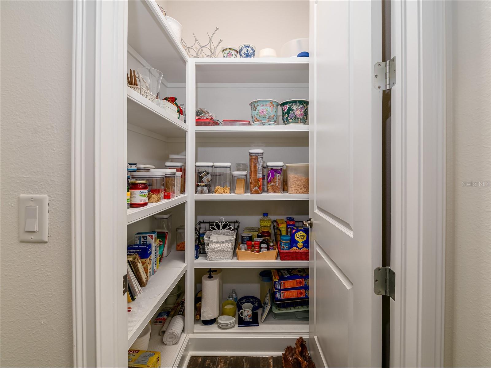 4521 Barletta Court Wesley Chapel FL 33543 TB8494496 image28