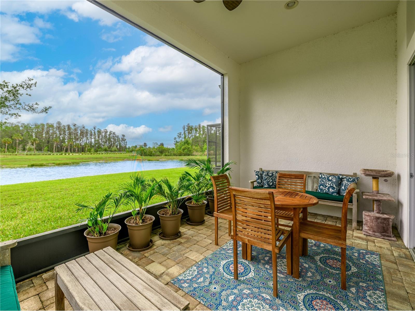 4521 Barletta Court Wesley Chapel FL 33543 TB8494496 image30