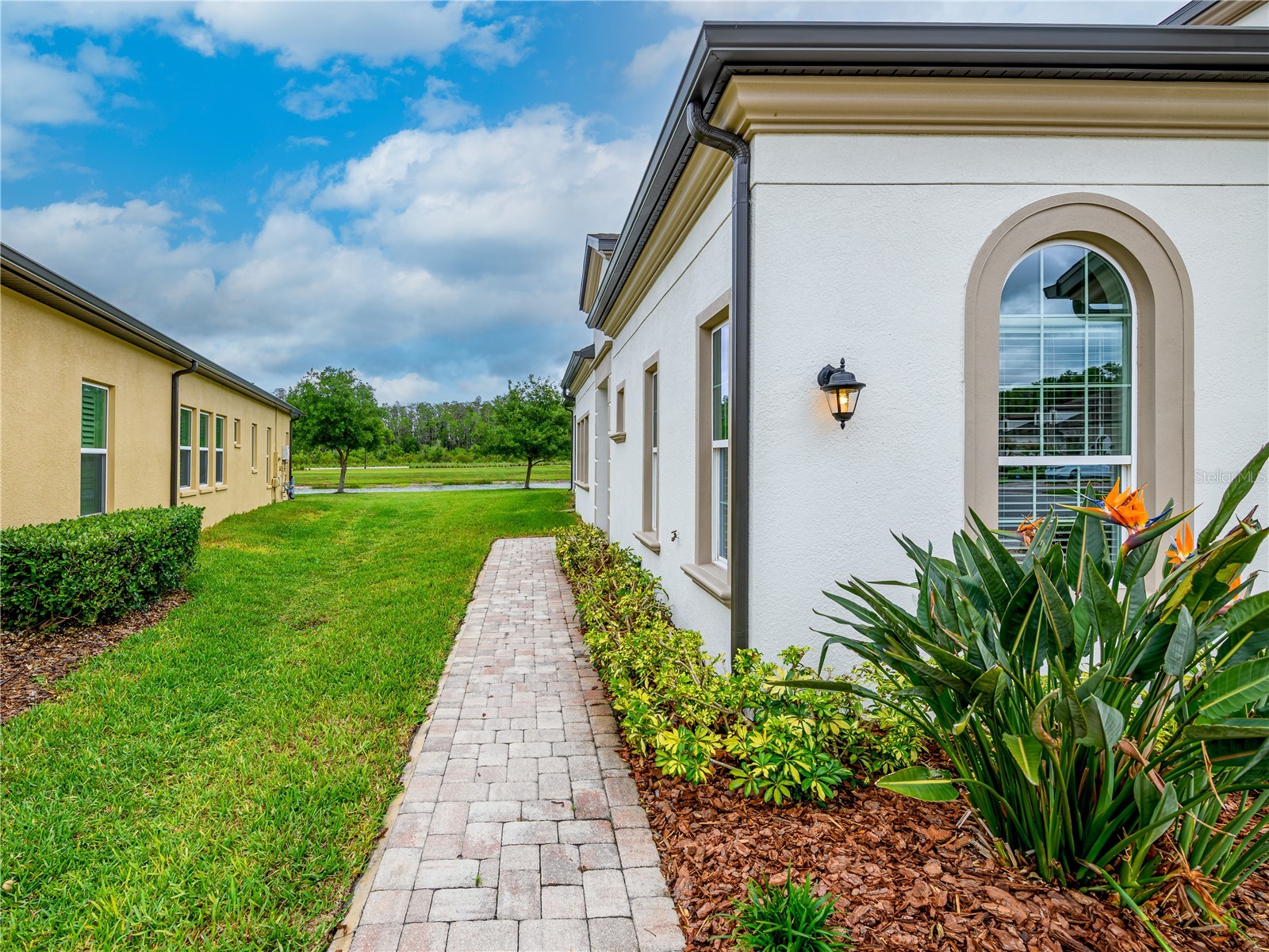 4521 Barletta Court Wesley Chapel FL 33543 TB8494496 image32