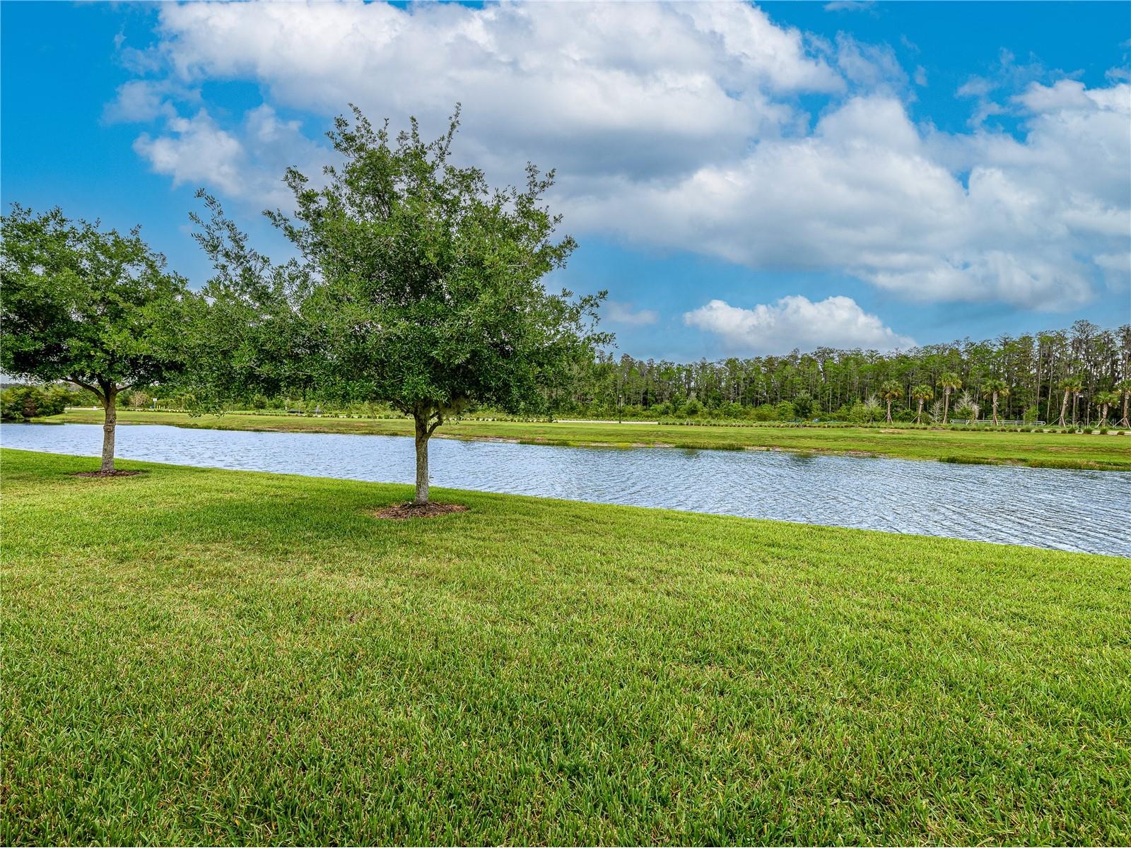 4521 Barletta Court Wesley Chapel FL 33543 TB8494496 image34