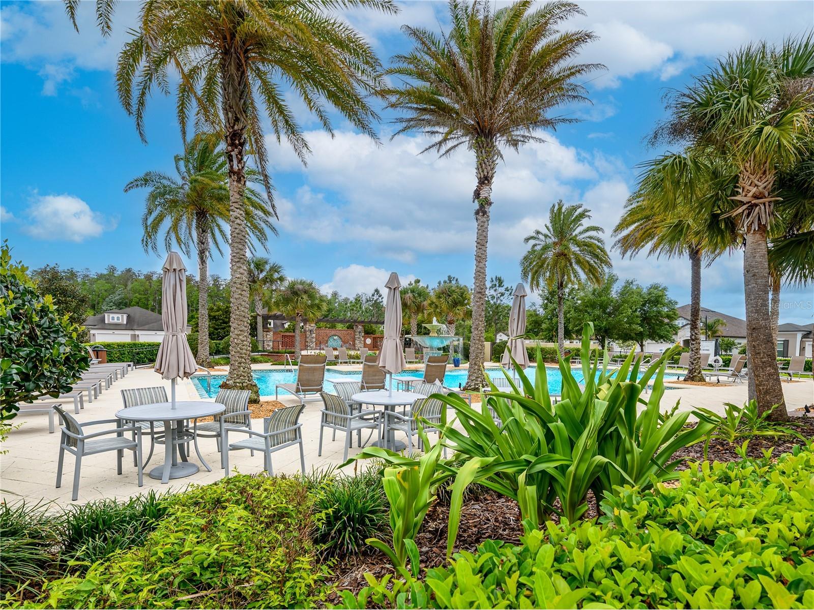 4521 Barletta Court Wesley Chapel FL 33543 TB8494496 image35