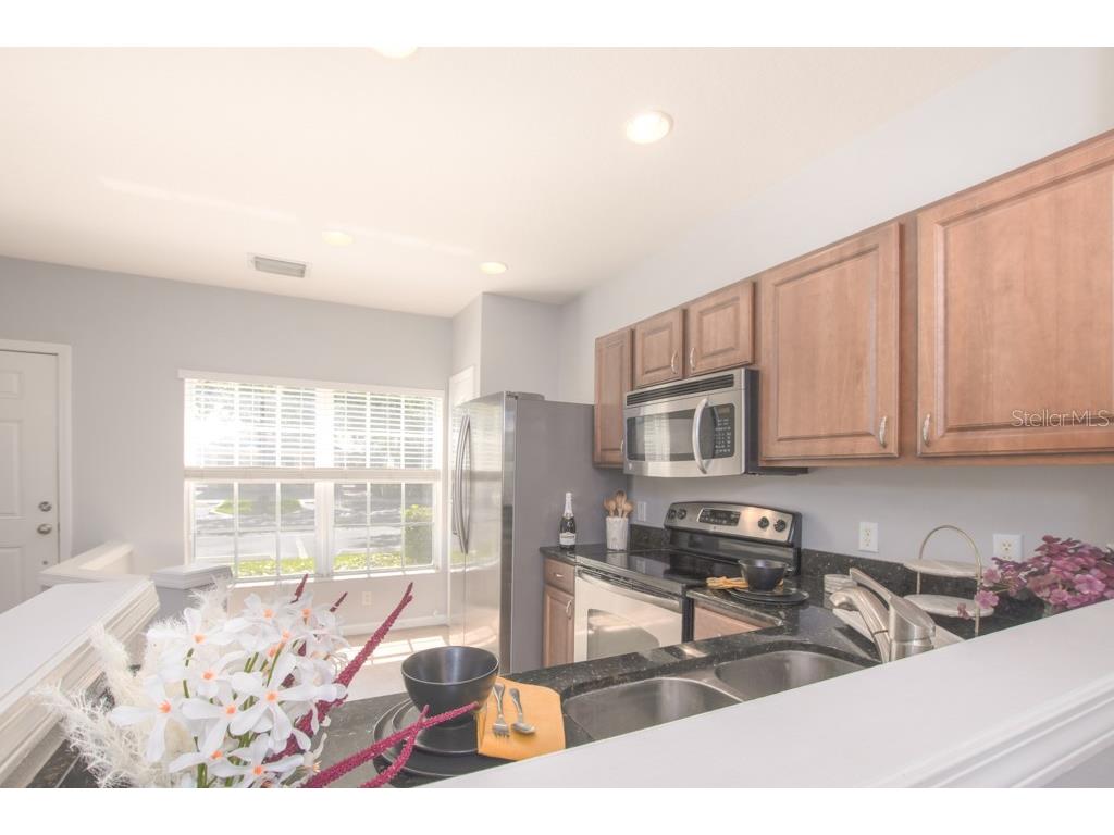 4521 Barnstead Drive Riverview FL 33578 TB8410013 image12