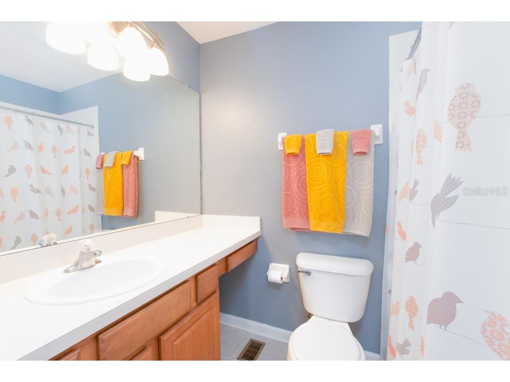 4521 Barnstead Drive Riverview FL 33578 TB8410013 image29