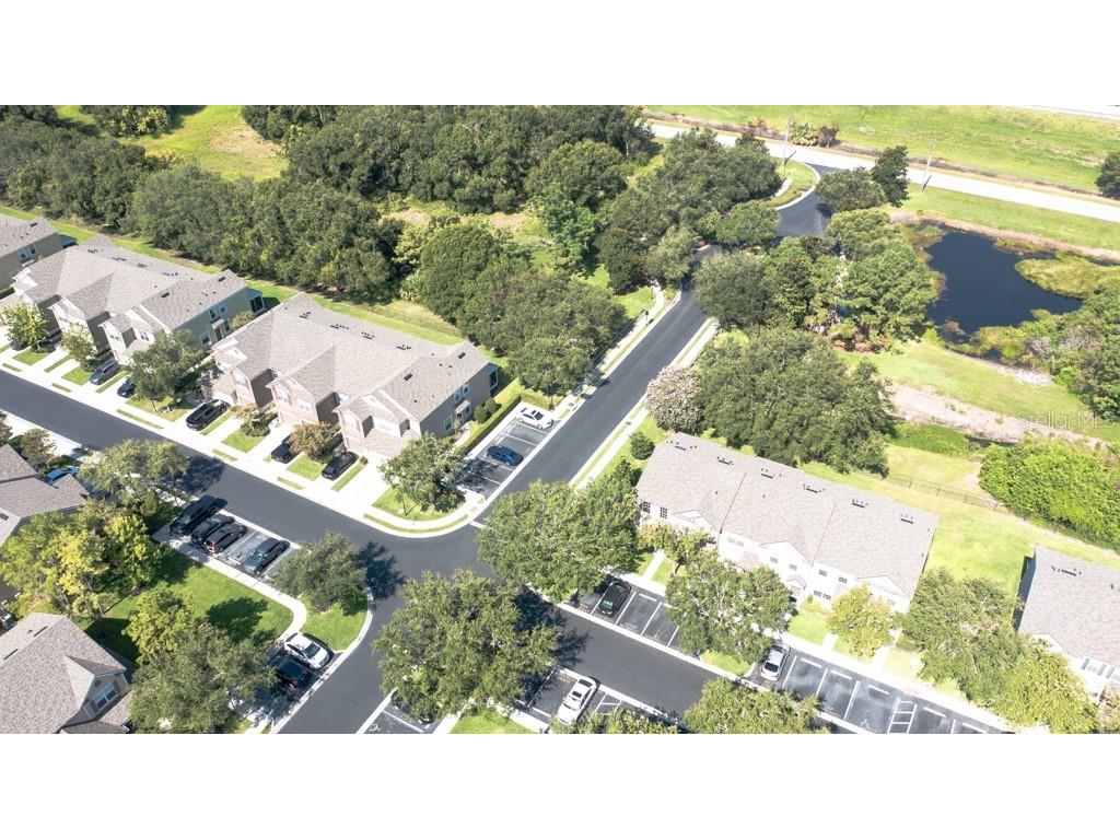 4521 Barnstead Drive Riverview FL 33578 TB8410013 image49