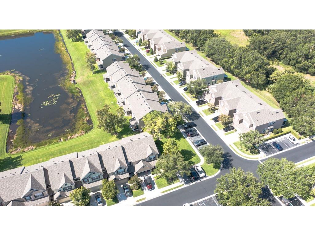 4521 Barnstead Drive Riverview FL 33578 TB8410013 image50