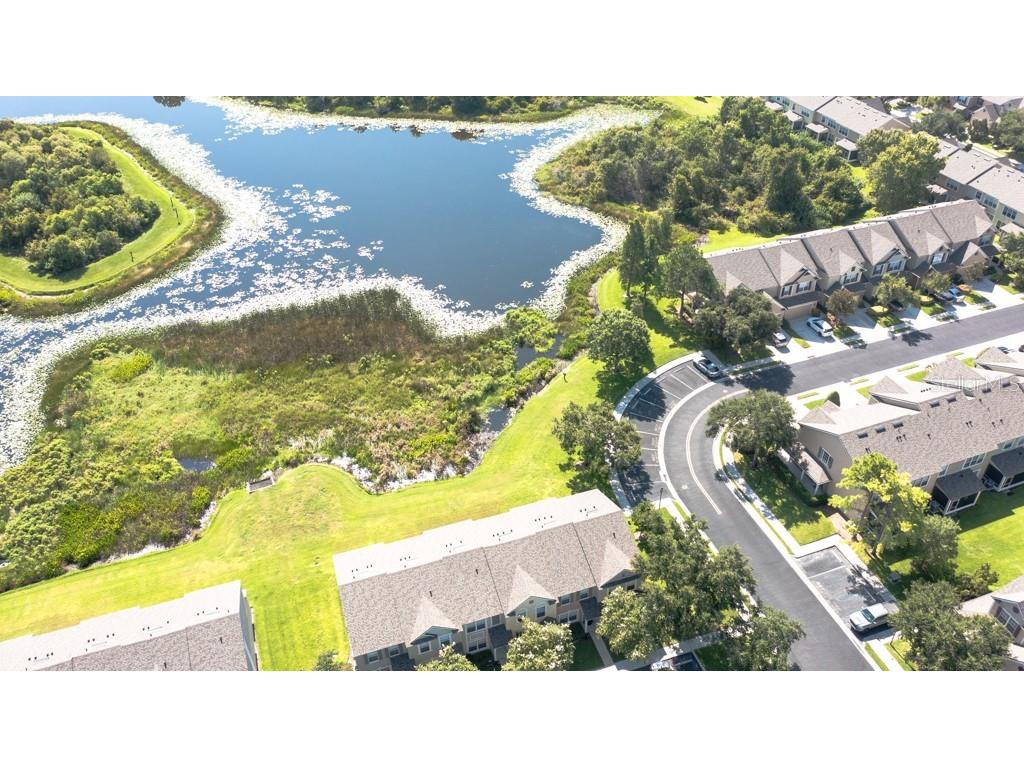 4521 Barnstead Drive Riverview FL 33578 TB8410013 image52