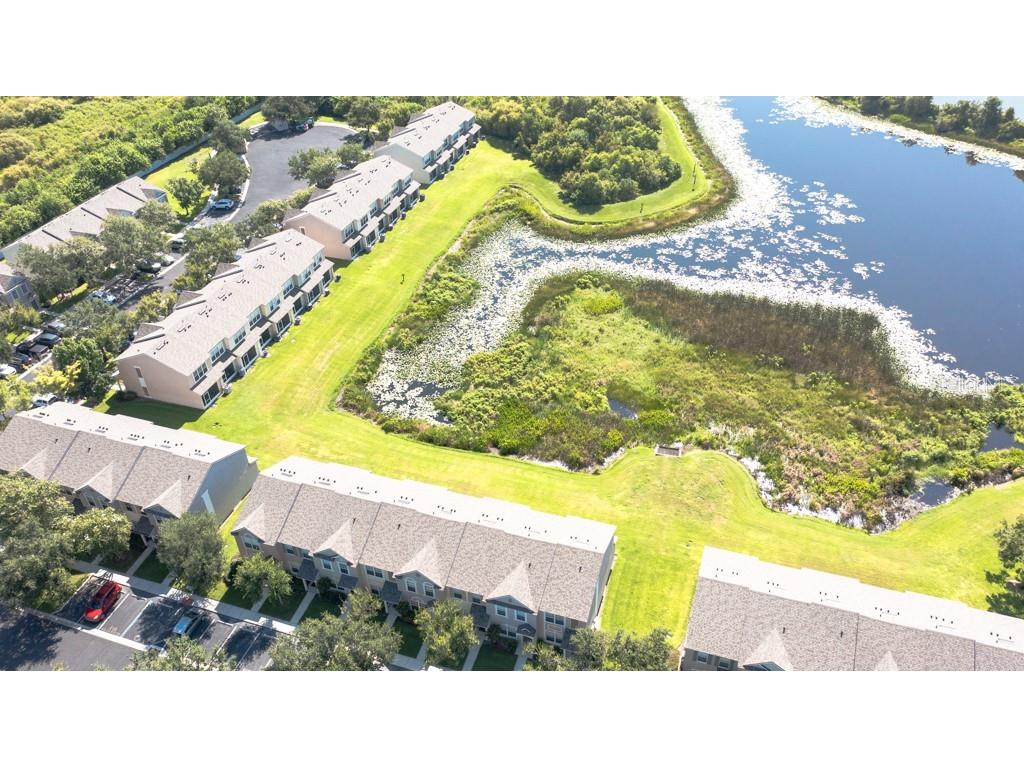 4521 Barnstead Drive Riverview FL 33578 TB8410013 image53