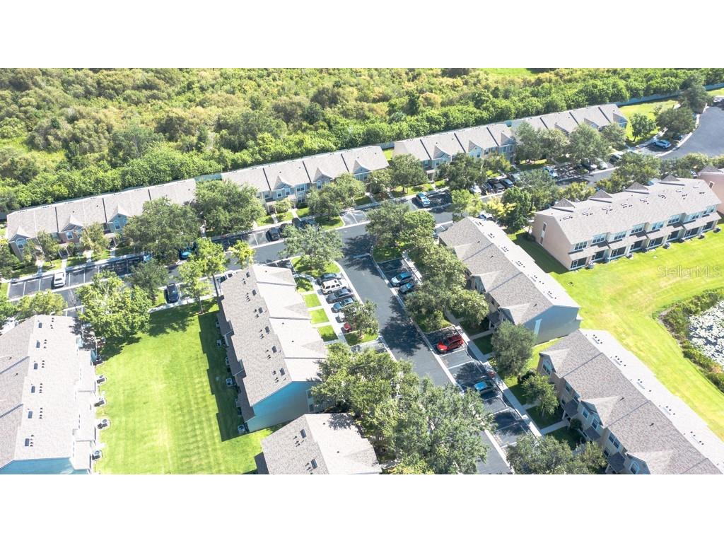 4521 Barnstead Drive Riverview FL 33578 TB8410013 image55