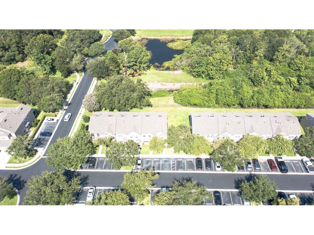 4521 Barnstead Drive Riverview FL 33578 TB8410013 image58