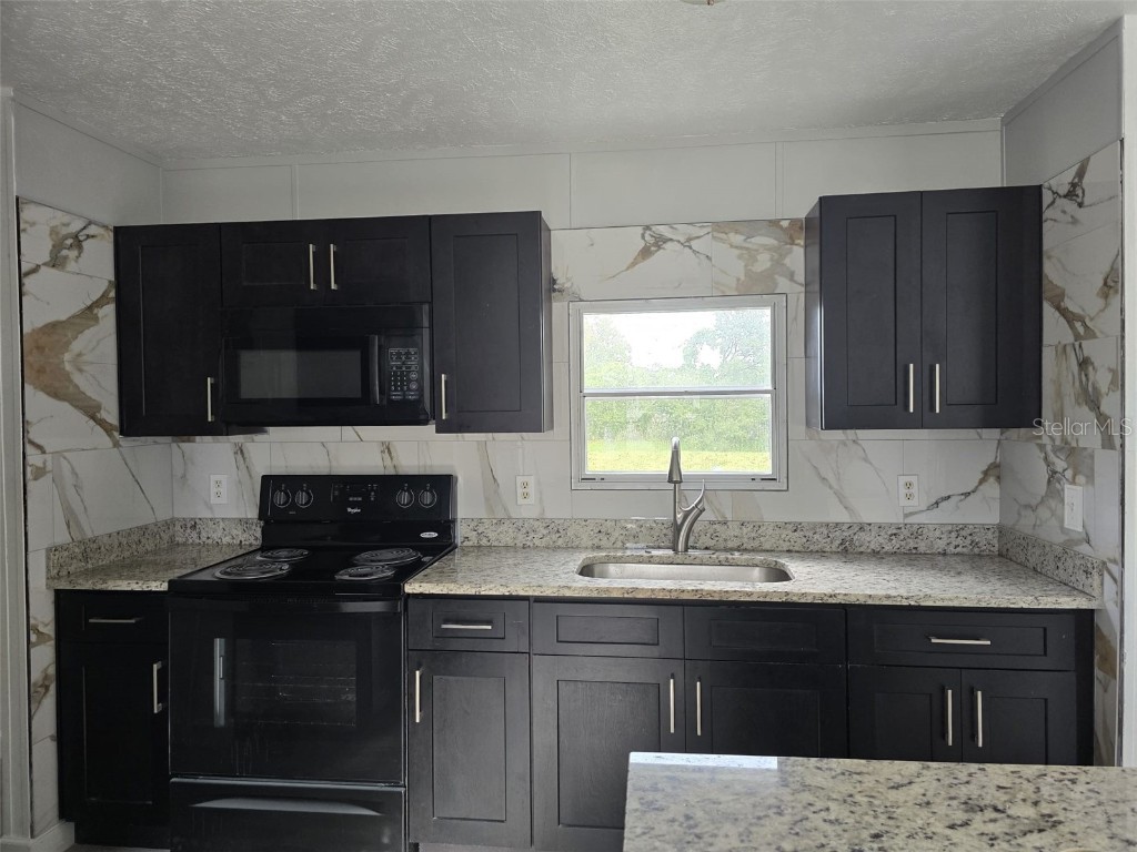 4521 Dunkeld Avenue Orlando FL 32822 O6321182 image2