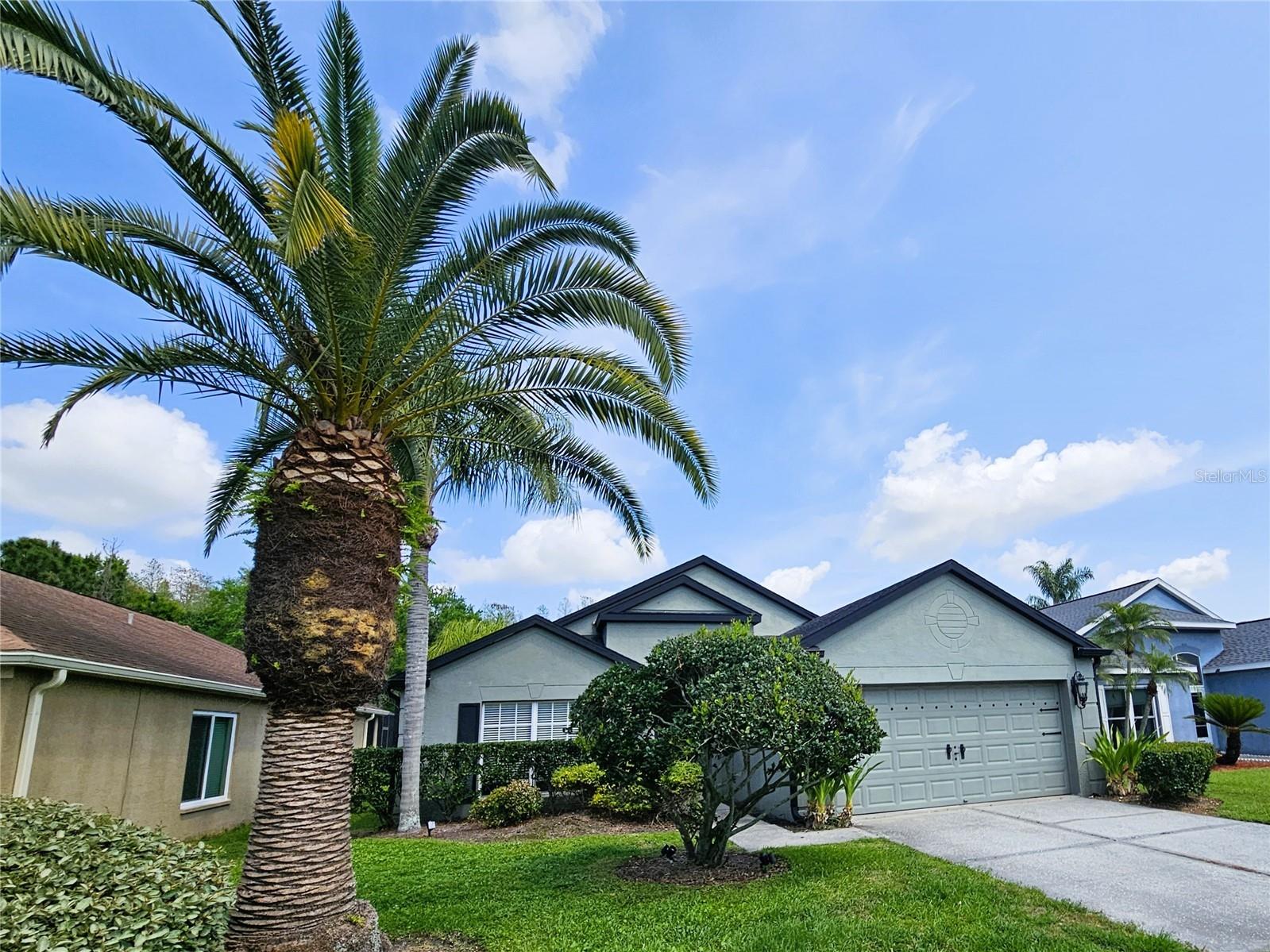 4521 Gulfwinds Drive Lutz FL 33558 TB8514420 image1