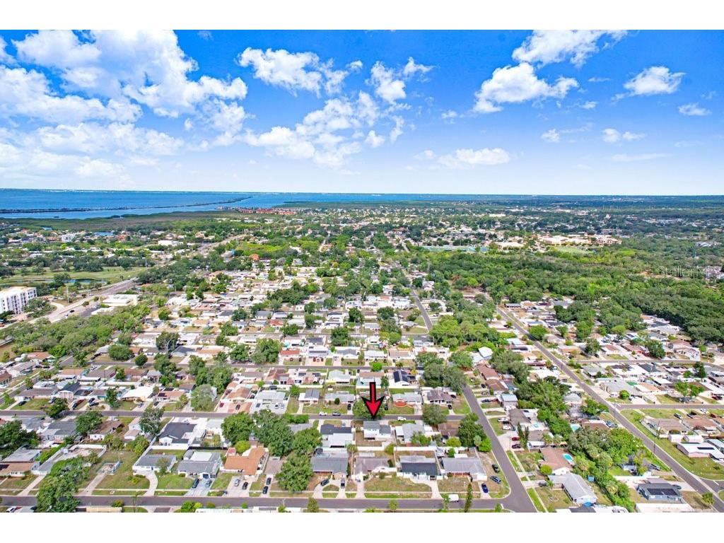 4521 Picadilly Street Tampa FL 33634 TB8517239 image10