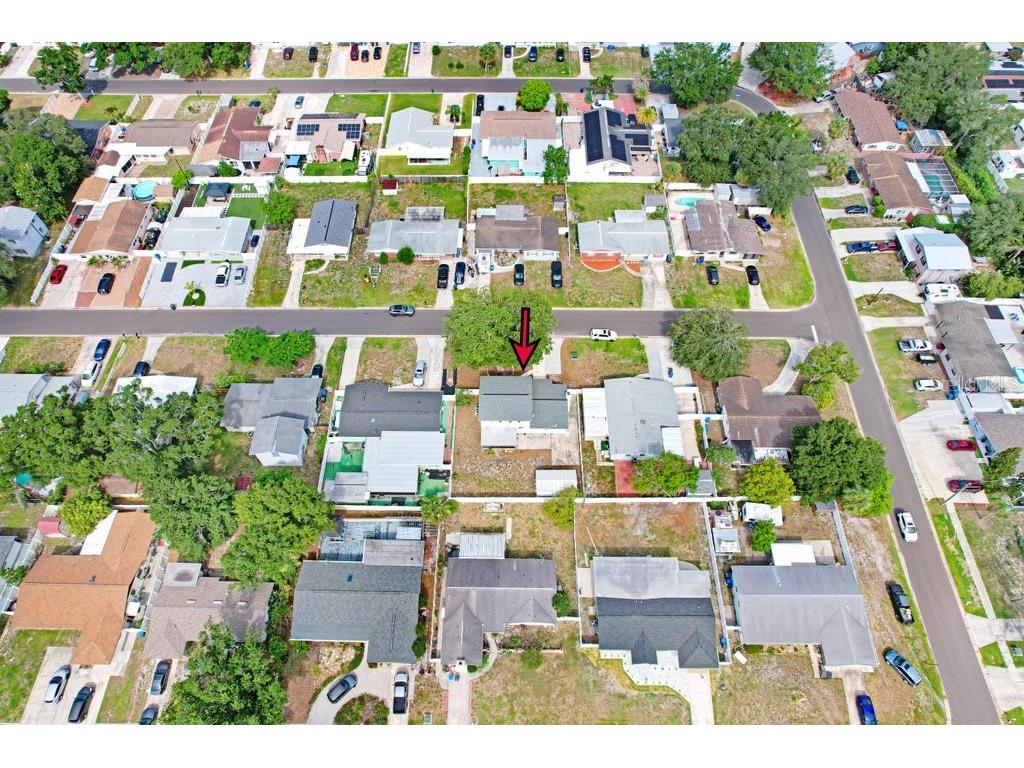 4521 Picadilly Street Tampa FL 33634 TB8517239 image11