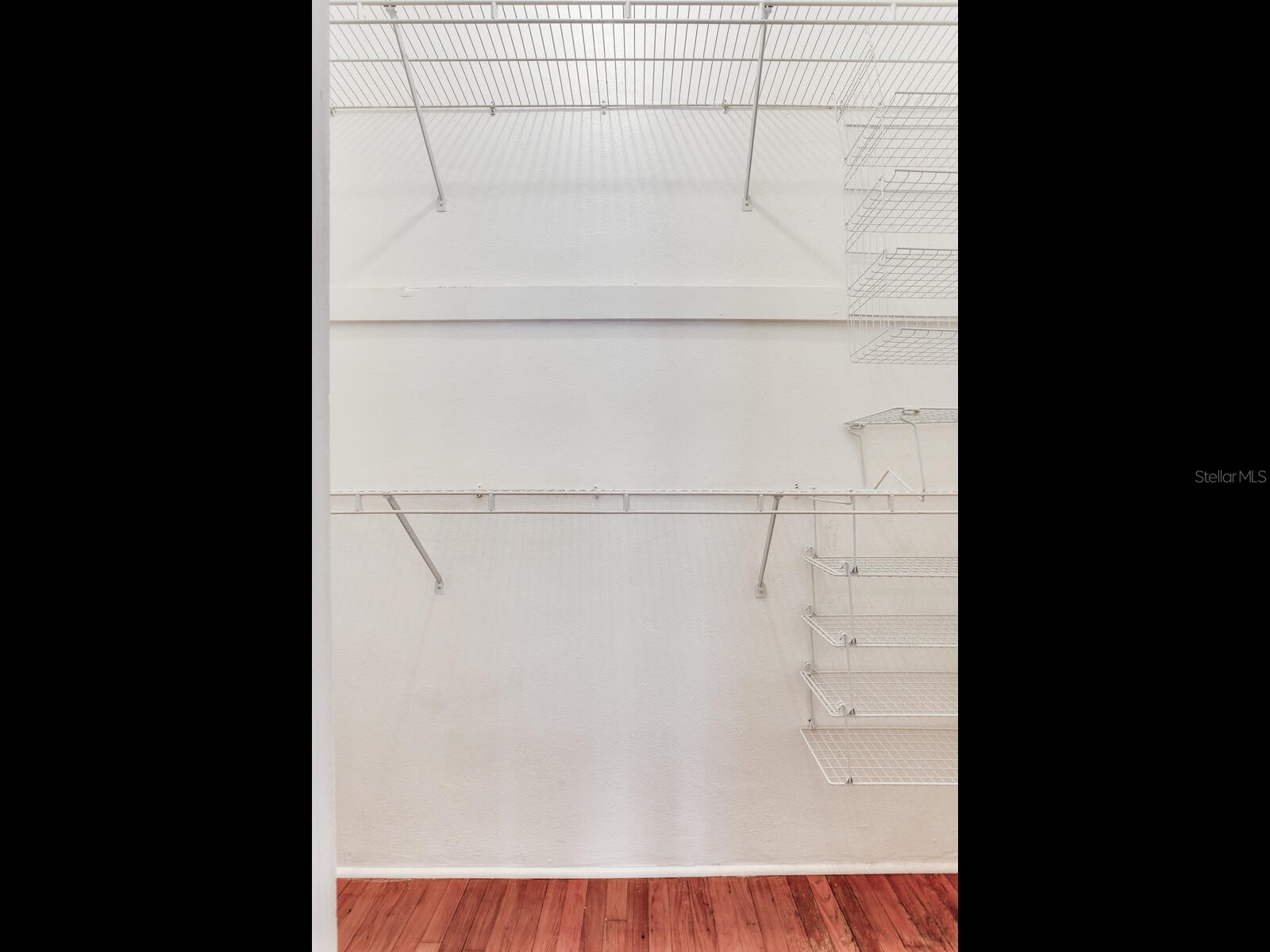 4521 W Azeele Street Tampa FL 33609 TB8391189 image18