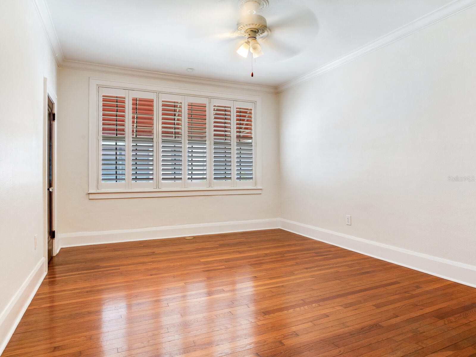 4521 W Azeele Street Tampa FL 33609 TB8391189 image21