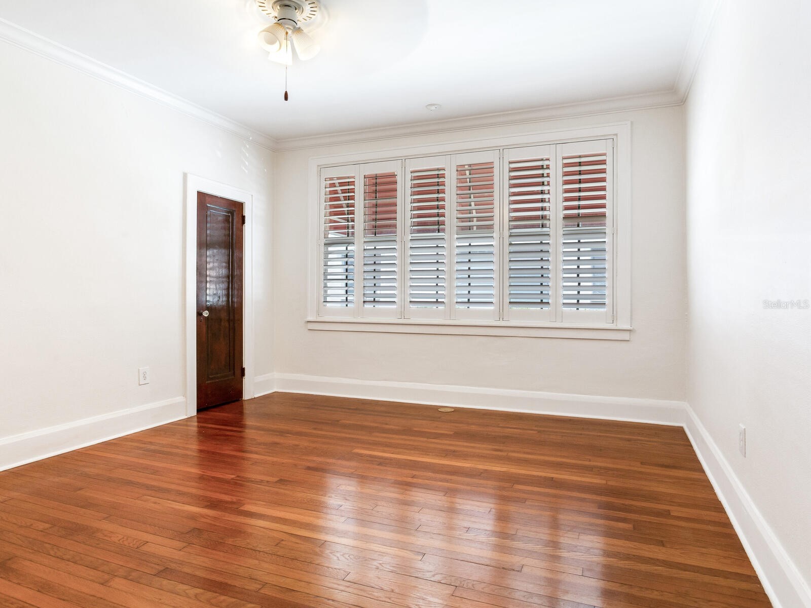 4521 W Azeele Street Tampa FL 33609 TB8391189 image22