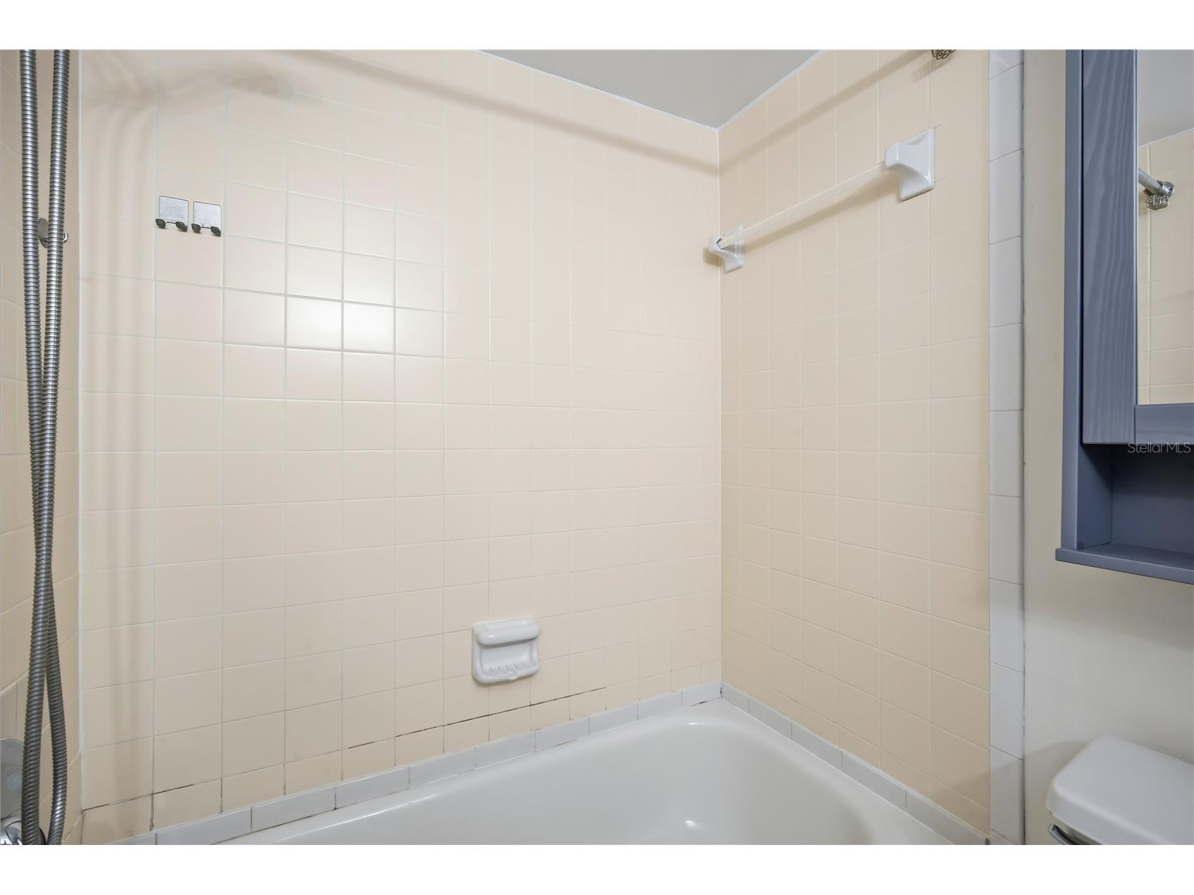 4521 W La Villa Lane Tampa FL 33611 TB8459621 image7