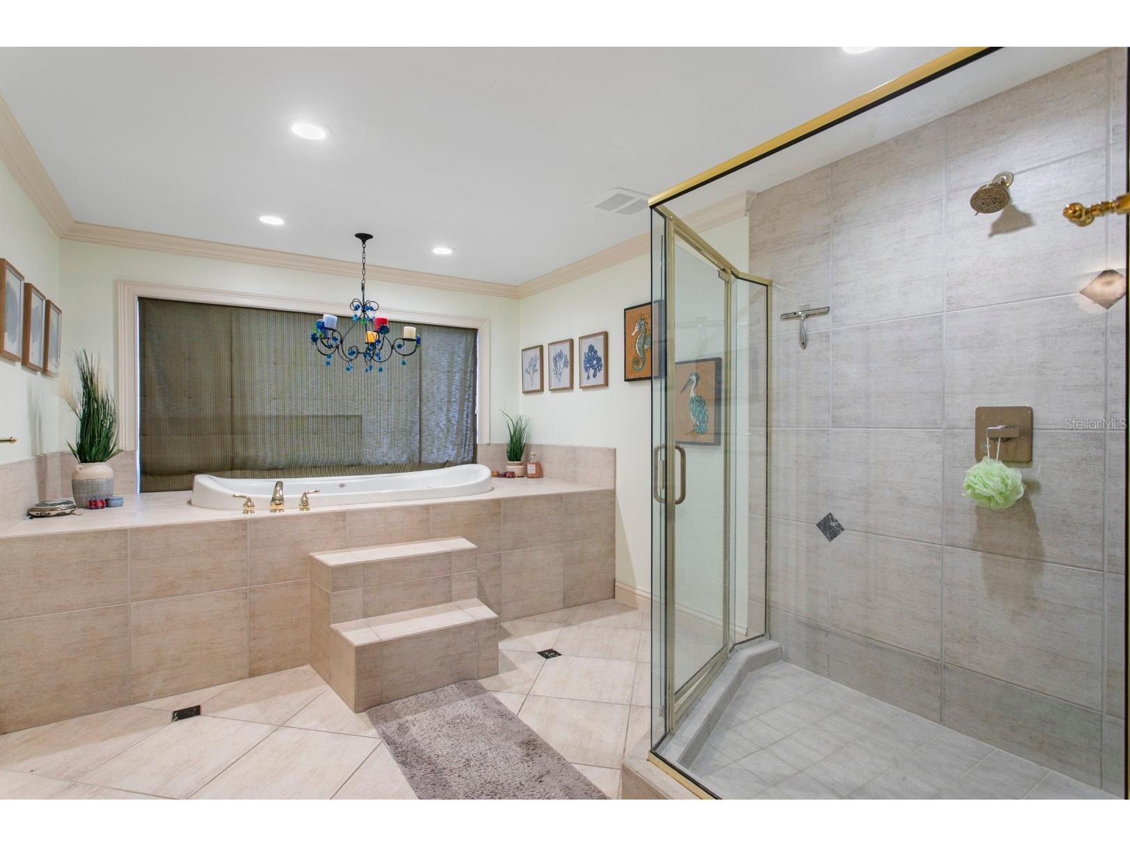 4521 W Watrous Avenue Tampa FL 33629 TB8510673 image19
