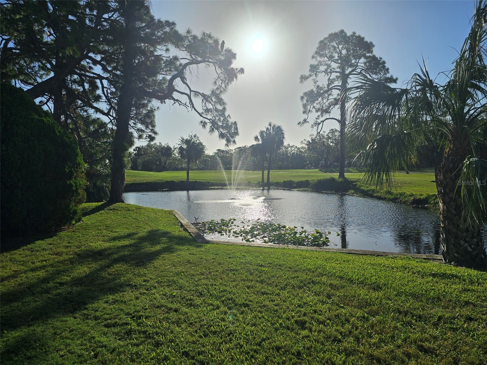 4522 La Jolla Drive Bradenton FL 34210 A4695286 image1