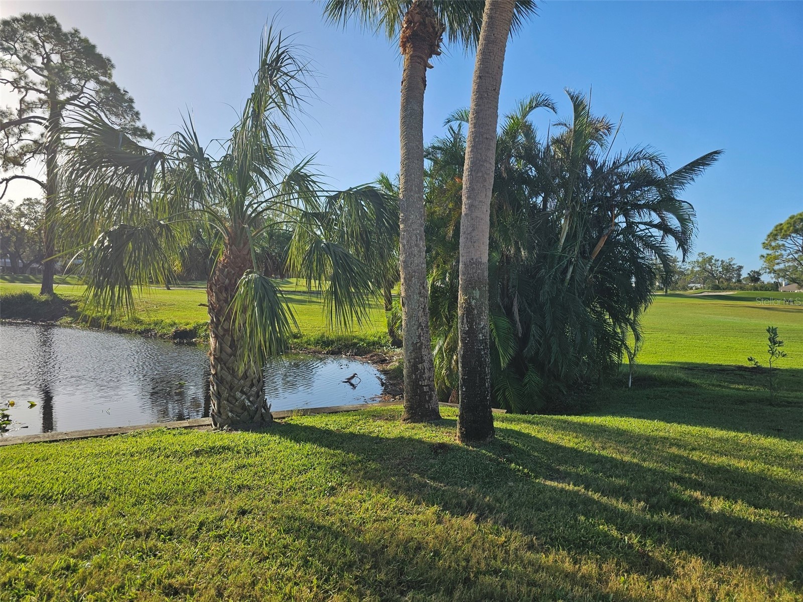 4522 La Jolla Drive Bradenton FL 34210 A4695286 image17