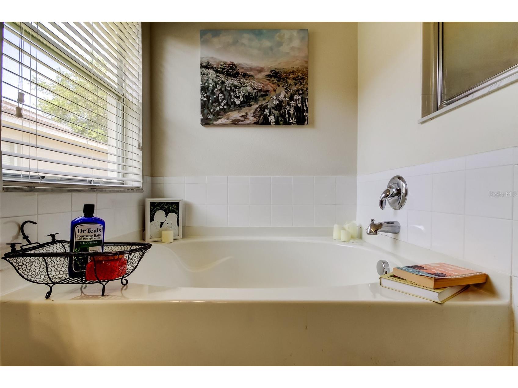 4522 Lisette Circle Brooksville FL 34604 TB8399789 image33