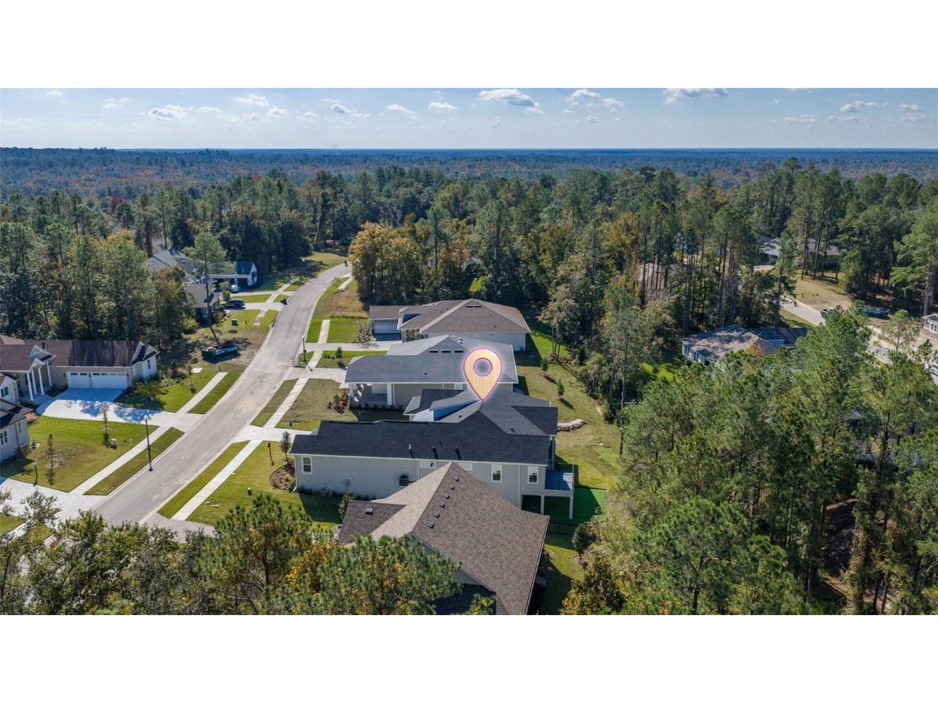 4522 Majestic Hills Loop Brooksville FL 34601 TB8449635 image93