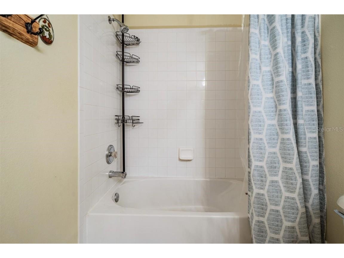 4522 Winding River Way Land O Lakes FL 34639 TB8445870 image18