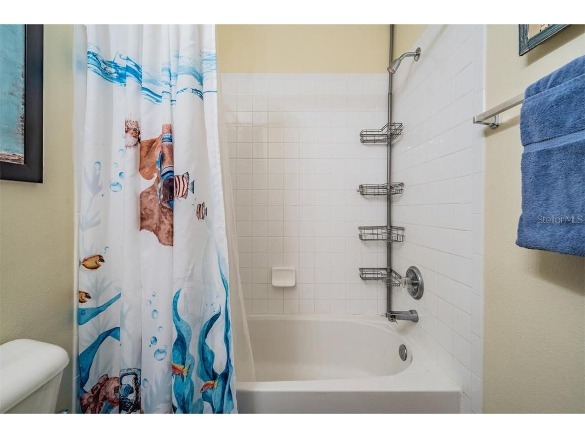 4522 Winding River Way Land O Lakes FL 34639 TB8445870 image24