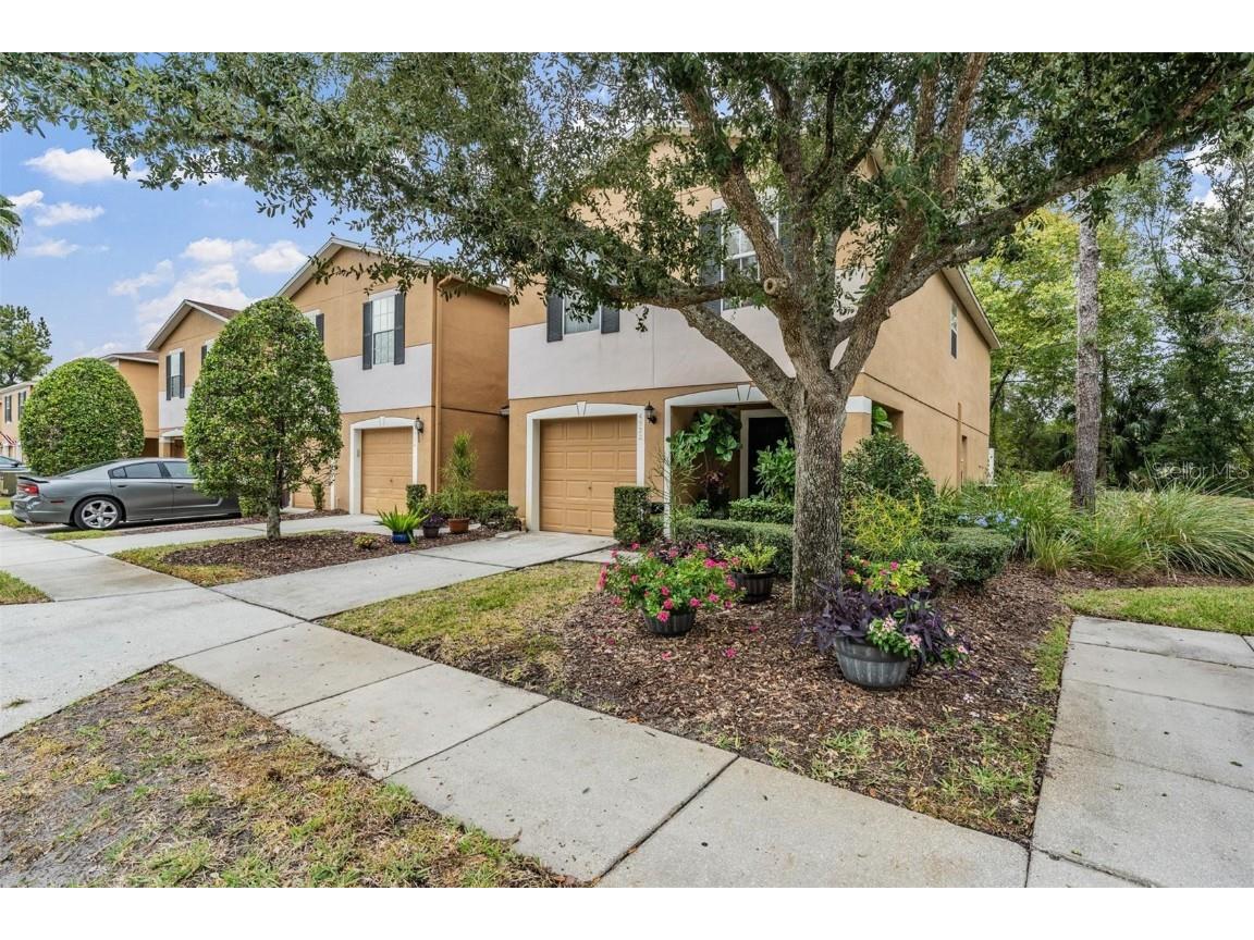 4522 Winding River Way Land O Lakes FL 34639 TB8445870 image26