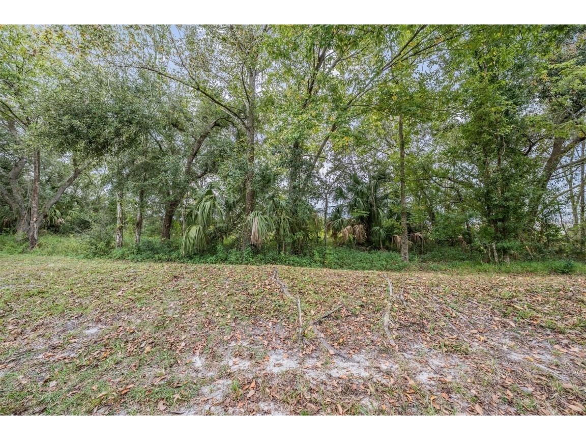 4522 Winding River Way Land O Lakes FL 34639 TB8445870 image28