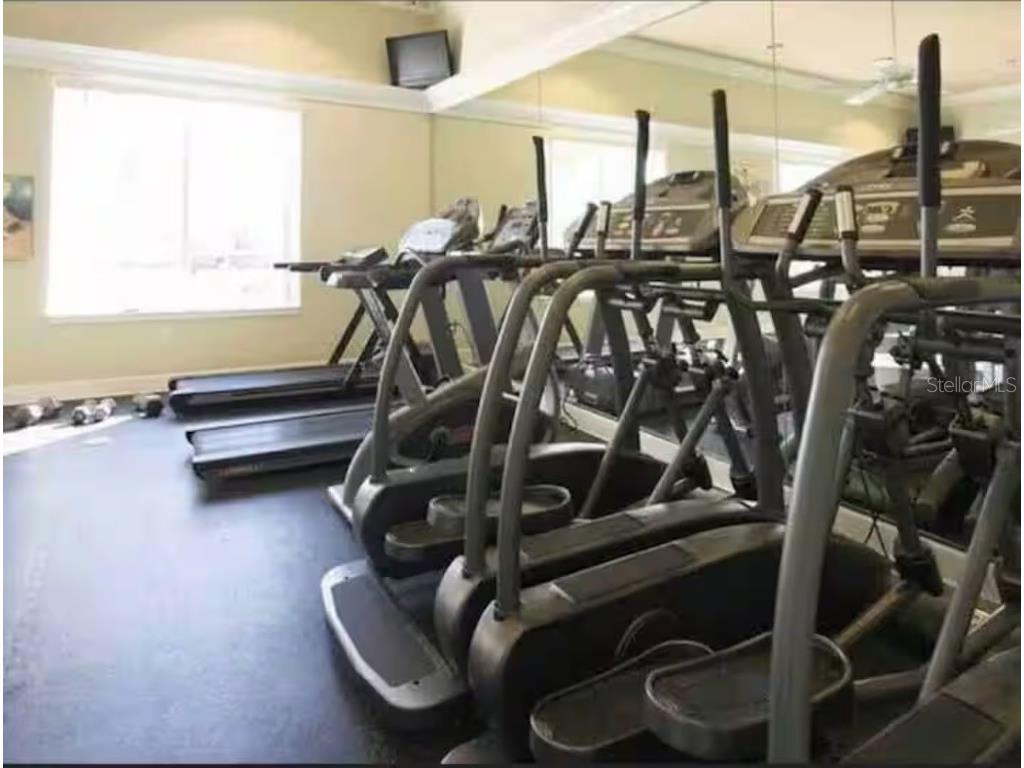 4523 Alberto Circle Kissimmee FL 34746 O6368791 image46