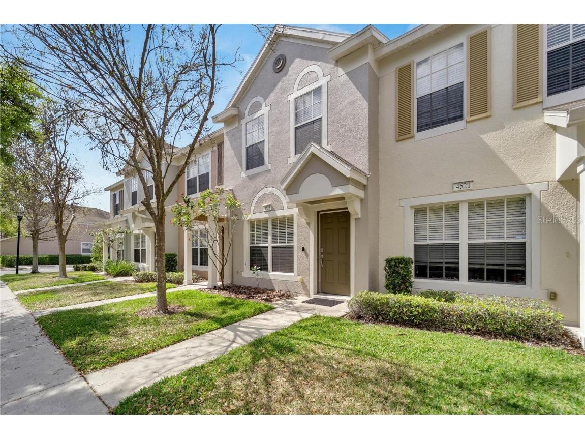 4523 Barnstead Drive Riverview FL 33578 T3432991 image1