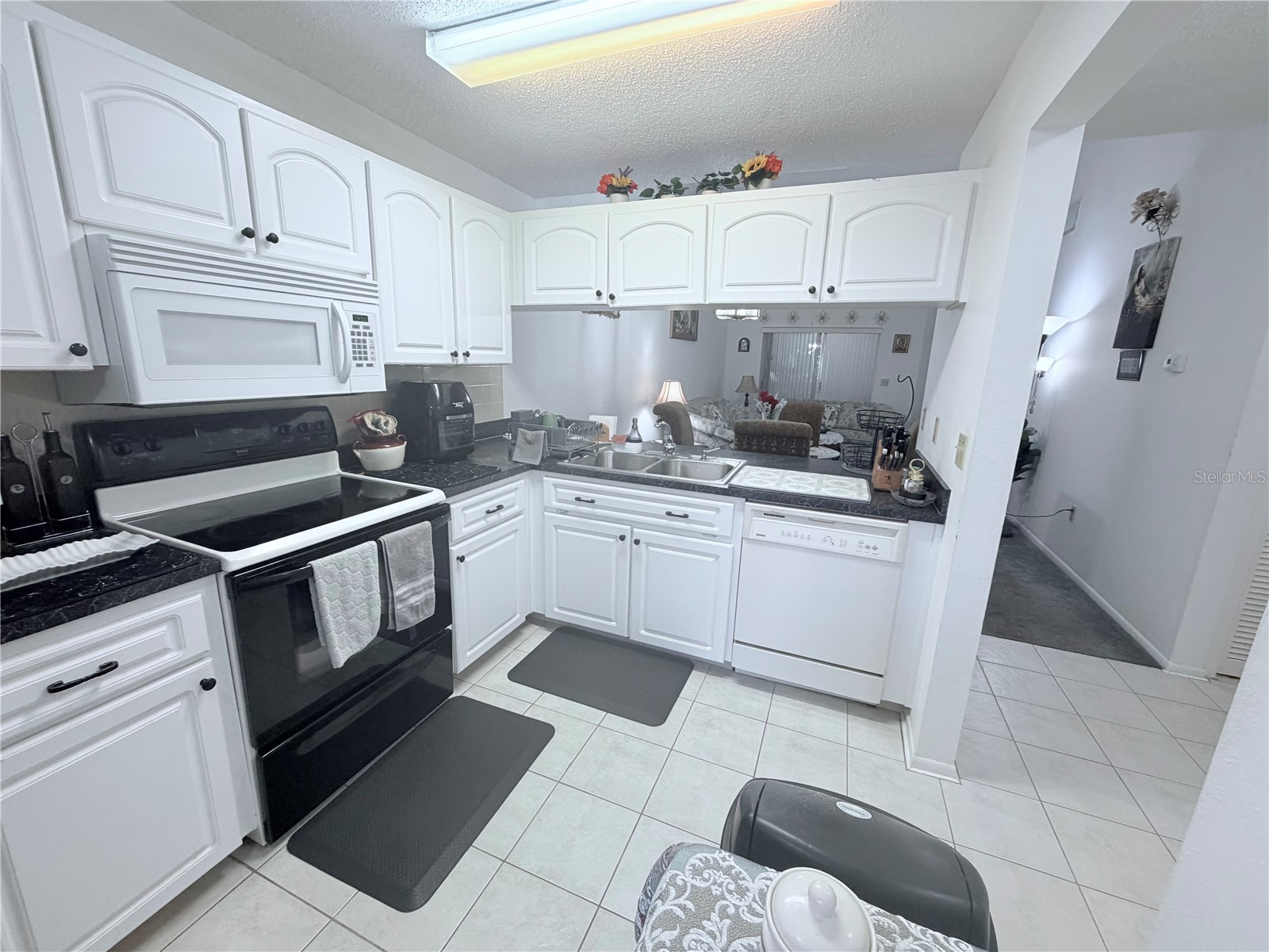 4523 Glen Hollow New Port Richey FL 34653 TB8469624 image15