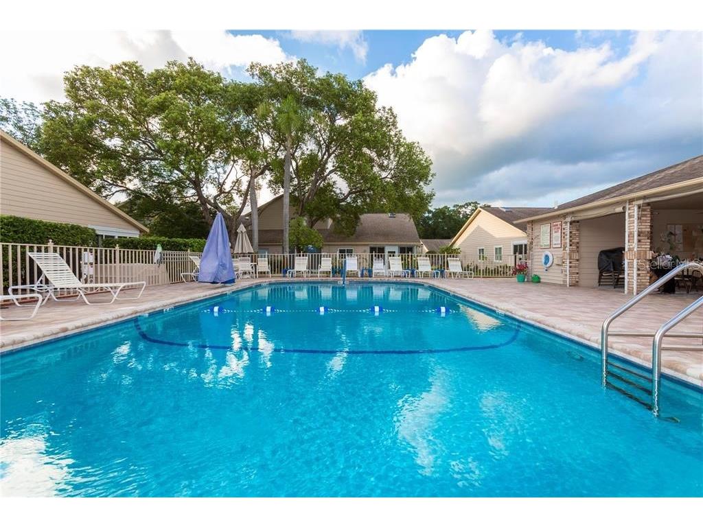 4523 Glen Hollow New Port Richey FL 34653 TB8469624 image2