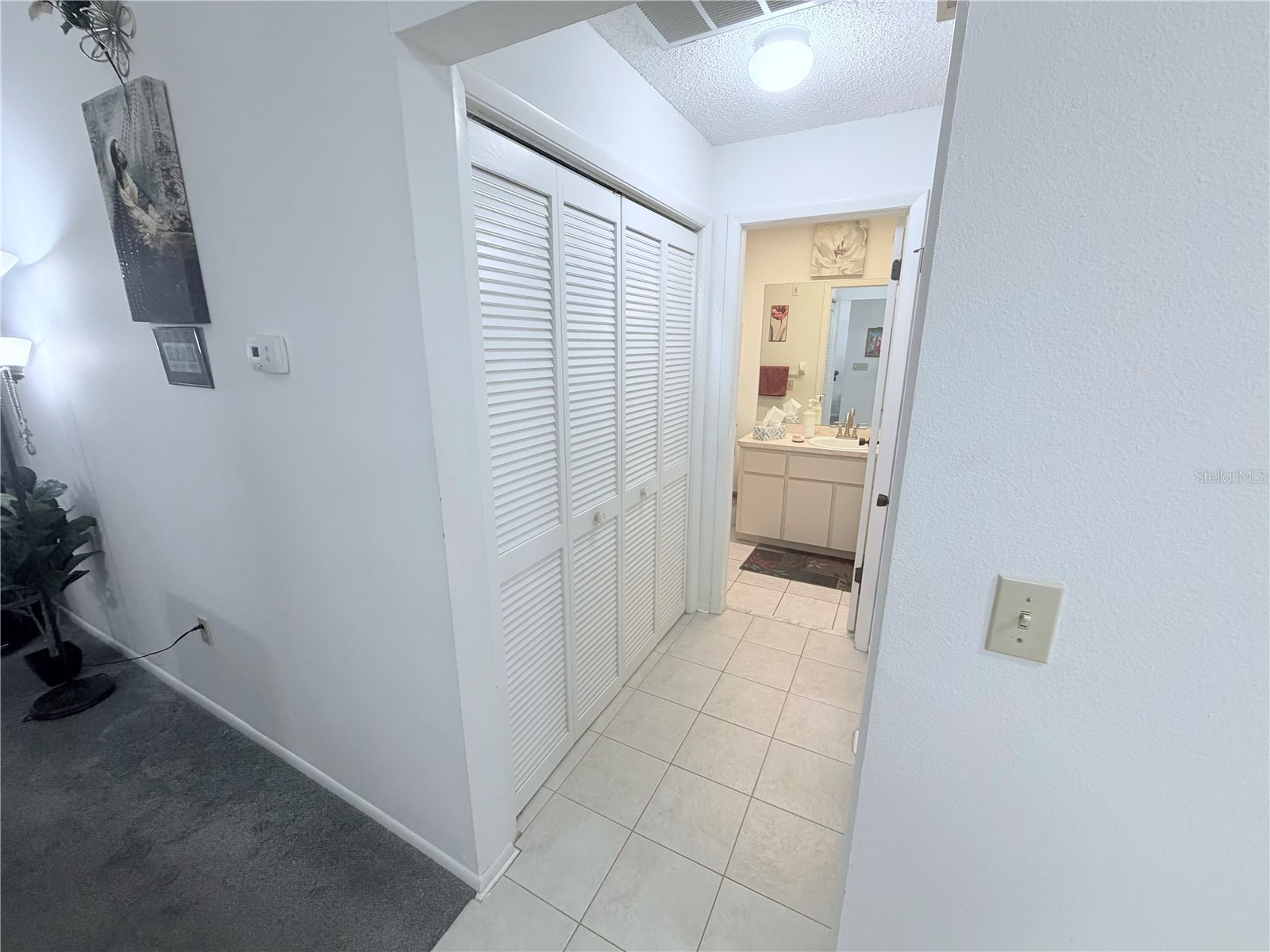 4523 Glen Hollow New Port Richey FL 34653 TB8469624 image39