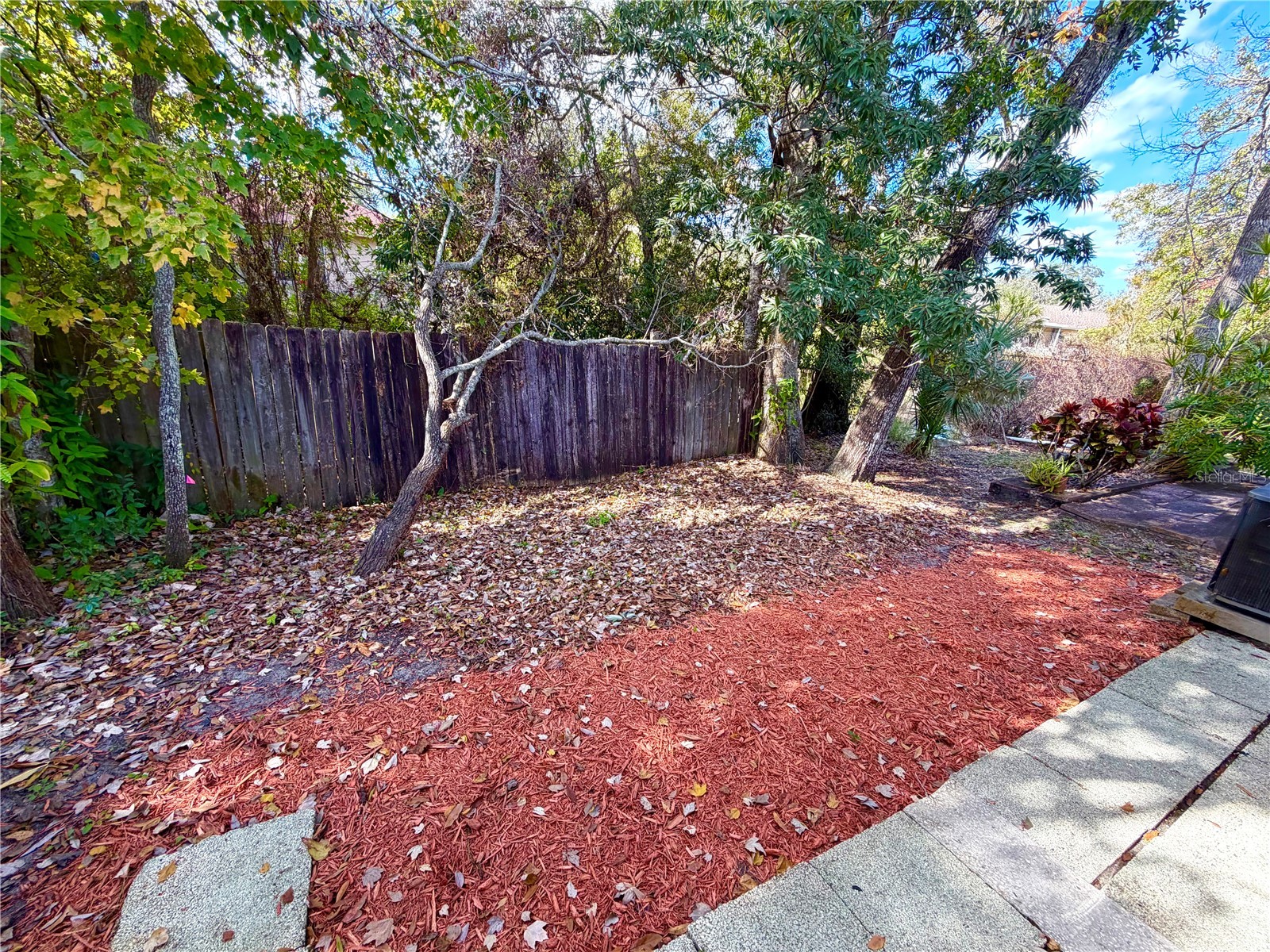 4523 Glen Hollow New Port Richey FL 34653 TB8469624 image49