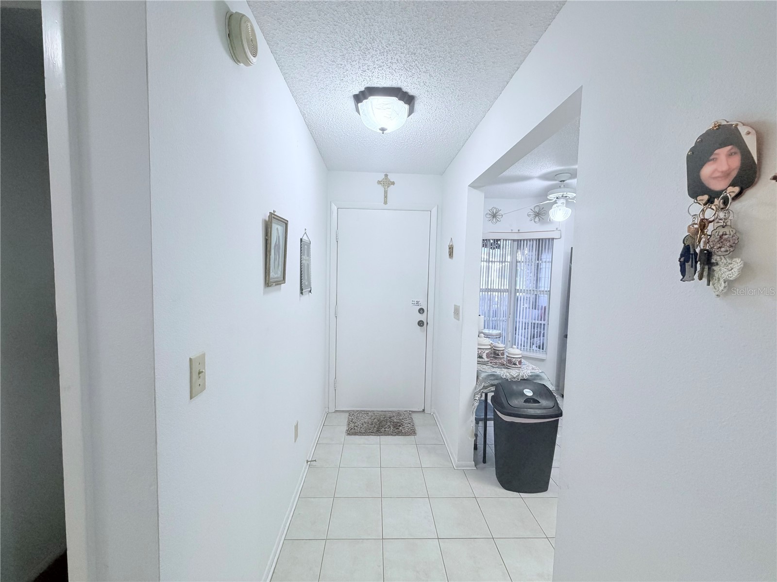 4523 Glen Hollow New Port Richey FL 34653 TB8469624 image5