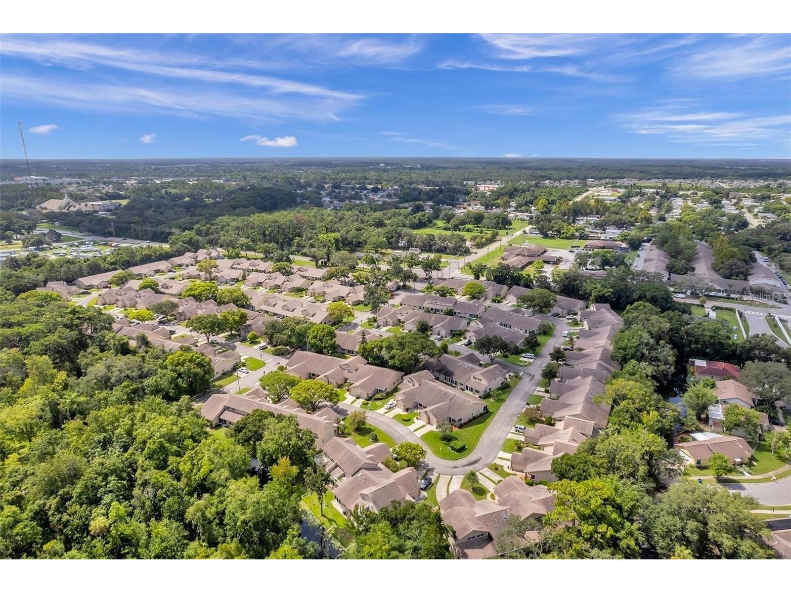 4523 Glen Hollow New Port Richey FL 34653 TB8469624 image55