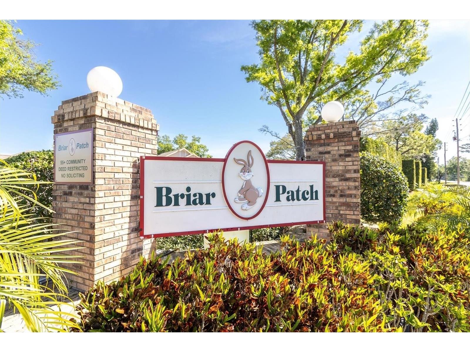 4523 Glen Hollow New Port Richey FL 34653 TB8469624 image62