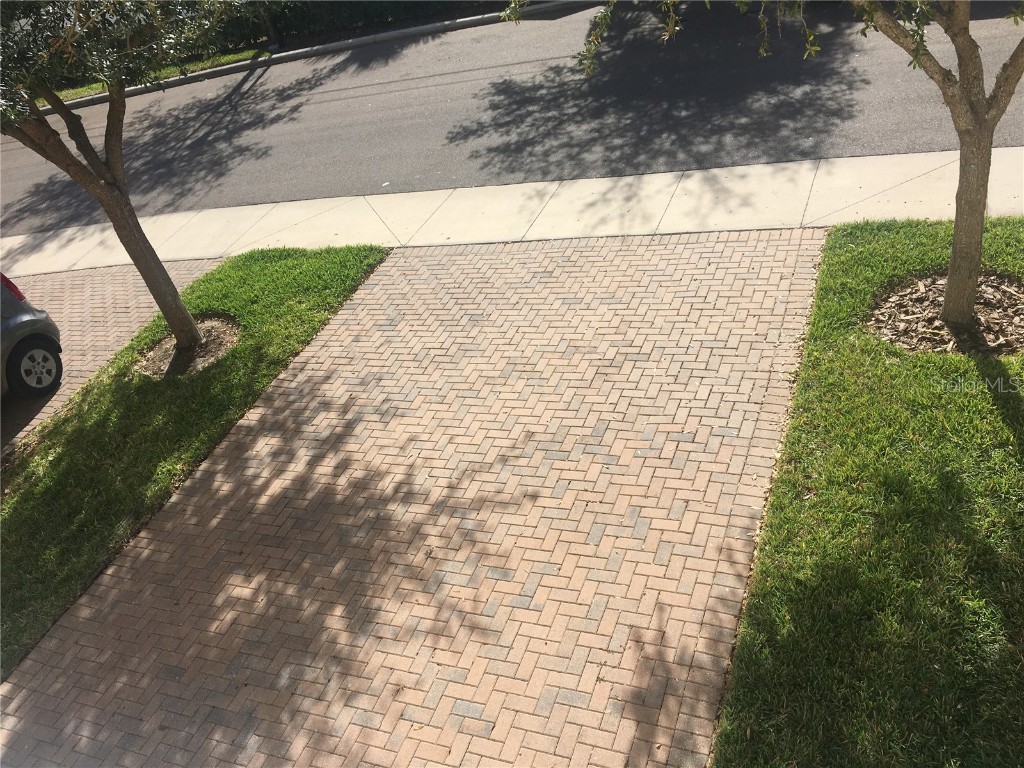 4523 Legacy Park Drive Tampa FL 33611 TB8430933 image26